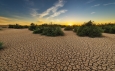 Land degradation could threaten 700 million people by 2050